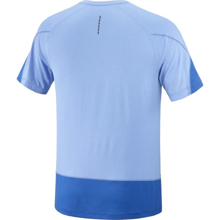 Blue Salomon Cross Run Graphic Short Sleeve Men's T-Shirts | PH 05916U